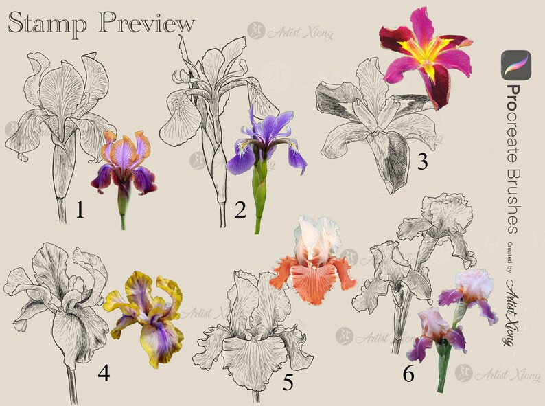 Realistic Iris Stamp Brushes for Procreate - Etsy