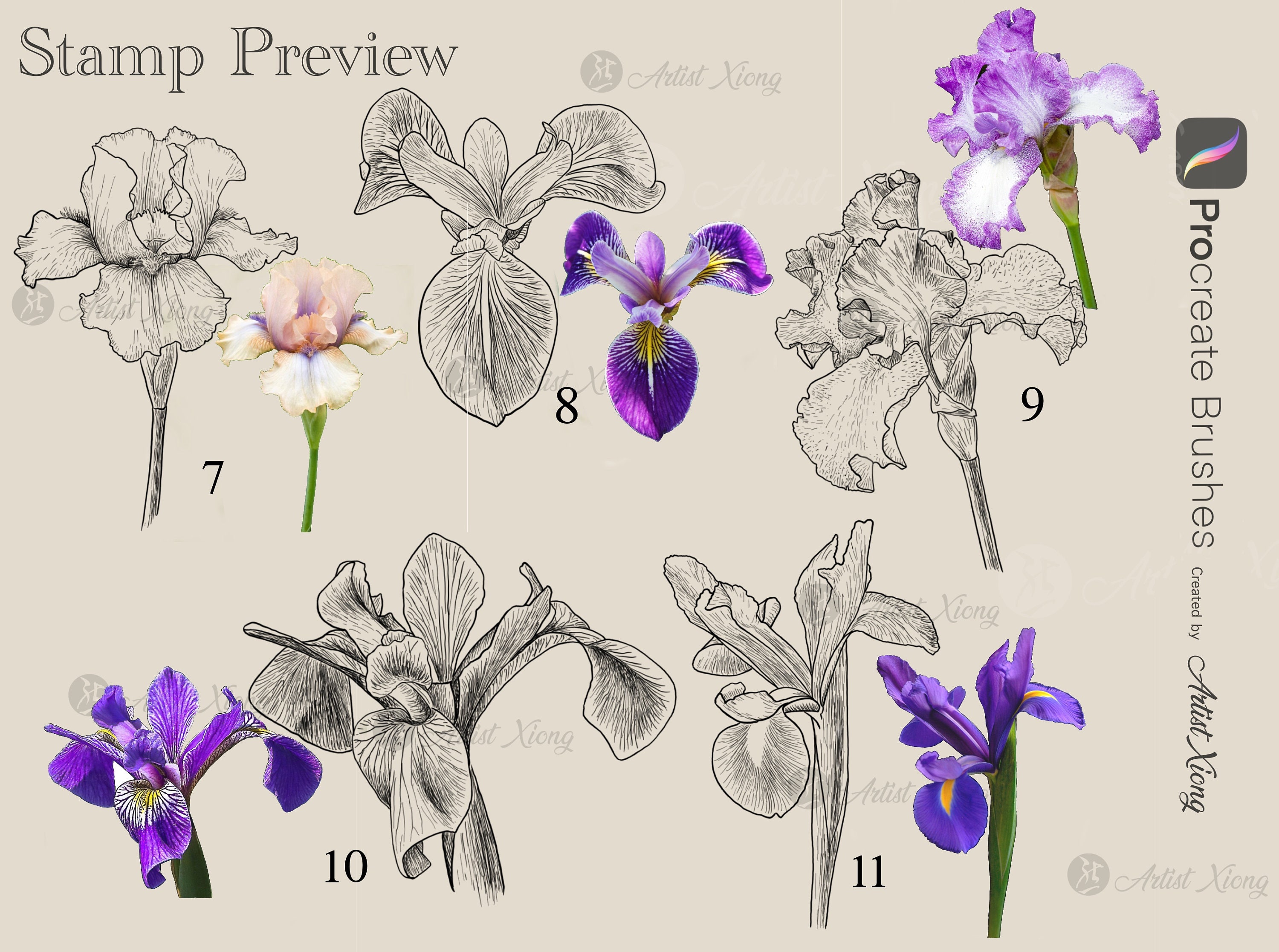 Realistic Iris Stamp Brushes for Procreate - Etsy