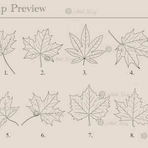 Realistic Maple Leaves Stamp Brushes for Procreate - Etsy