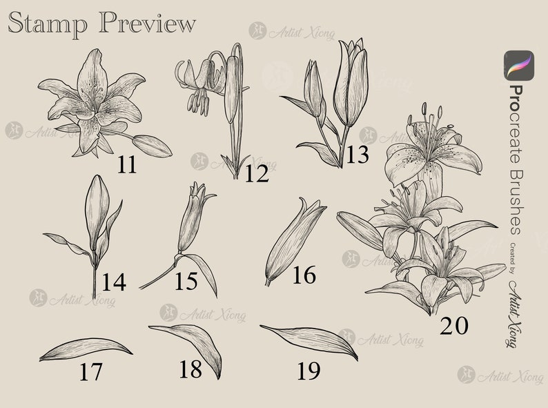 Realistic Lily Flower Stamp Brushes for Procreate - Etsy