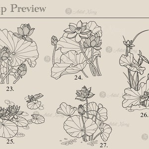 Realistic Lotus Flower Stamp Brushes for Procreate - Etsy