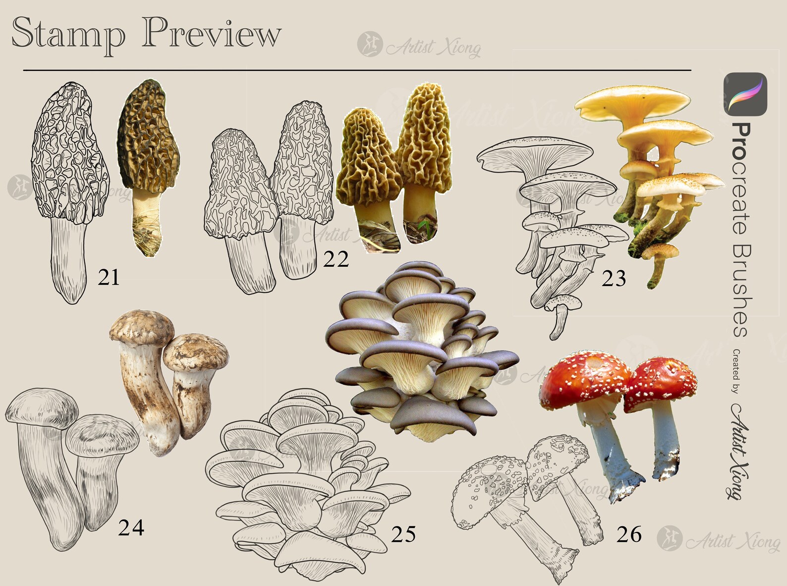 Realistic Mushroom Stamp Brushes for Procreate - Etsy