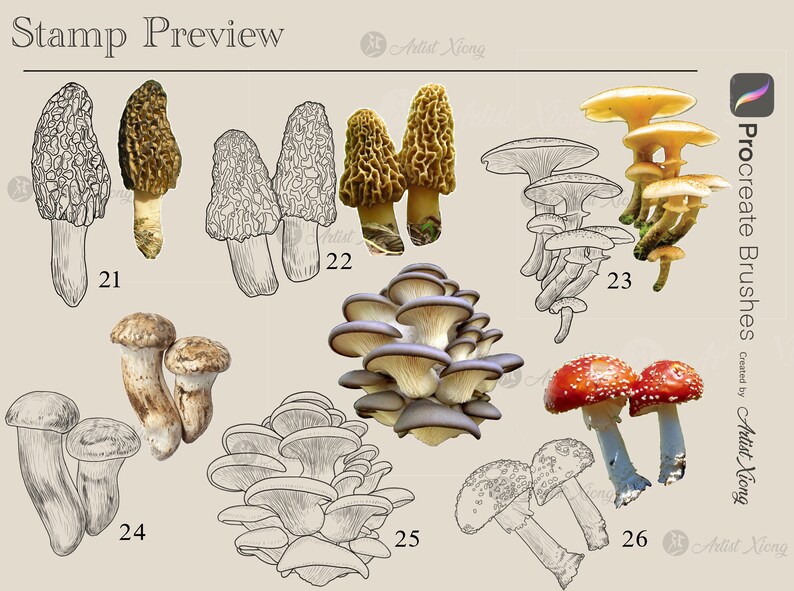 Realistic Mushroom Stamp Brushes for Procreate - Etsy