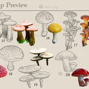 Realistic Mushroom Stamp Brushes for Procreate - Etsy