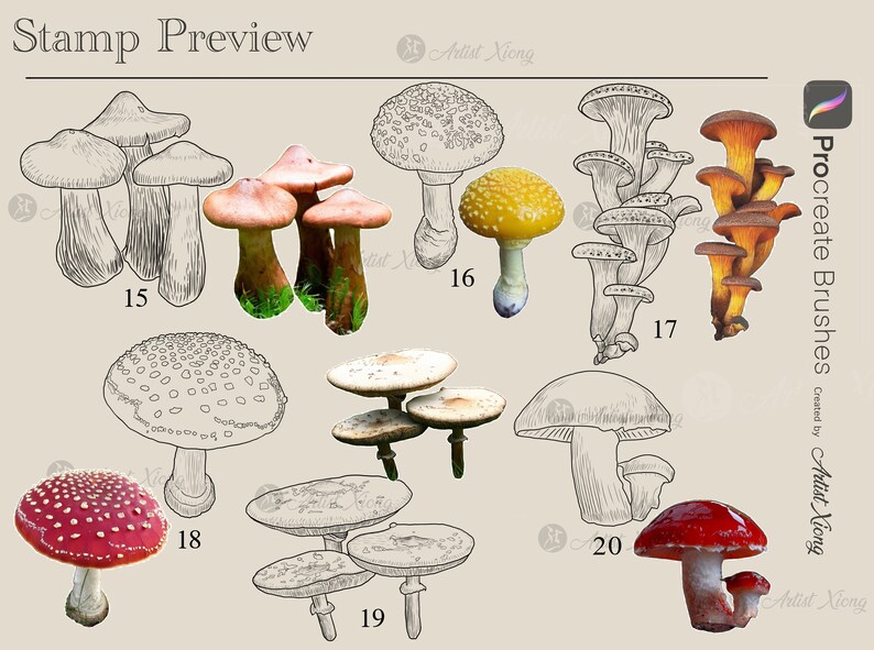 Realistic Mushroom Stamp Brushes for Procreate - Etsy