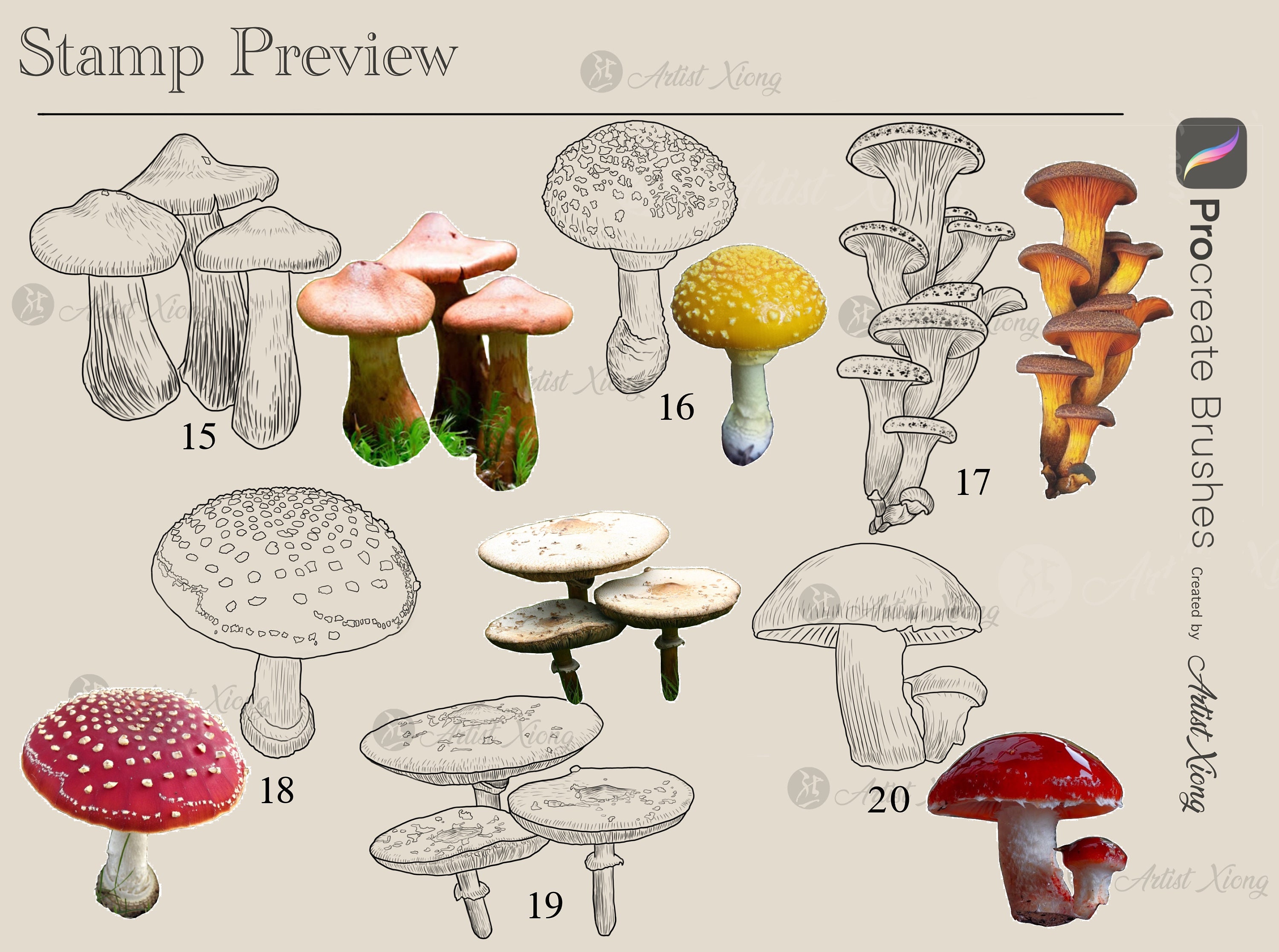 Realistic Mushroom Stamp Brushes for Procreate - Etsy