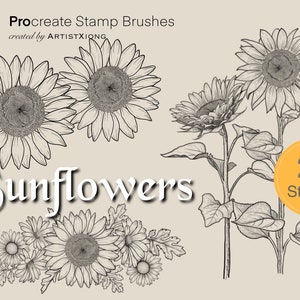 Realistic Sunflower Stamp Brushes for Procreate