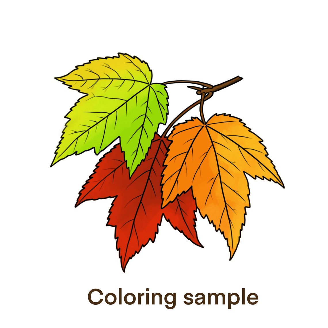 Realistic Maple Leaves Stamp Brushes for Procreate - Etsy