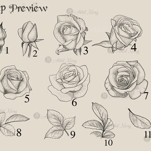 Realistic Roses and Designs Stamp Brushes for Procreate - Etsy