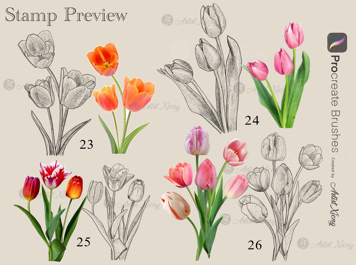 Realistic Tulip Stamp Brushes for Procreate - Etsy
