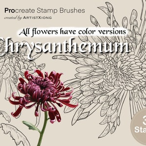 Chrysanthemum Stempelpinsel für Procreate