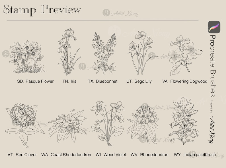 50 USA State Flower Stamp Brushes for Procreate - Etsy