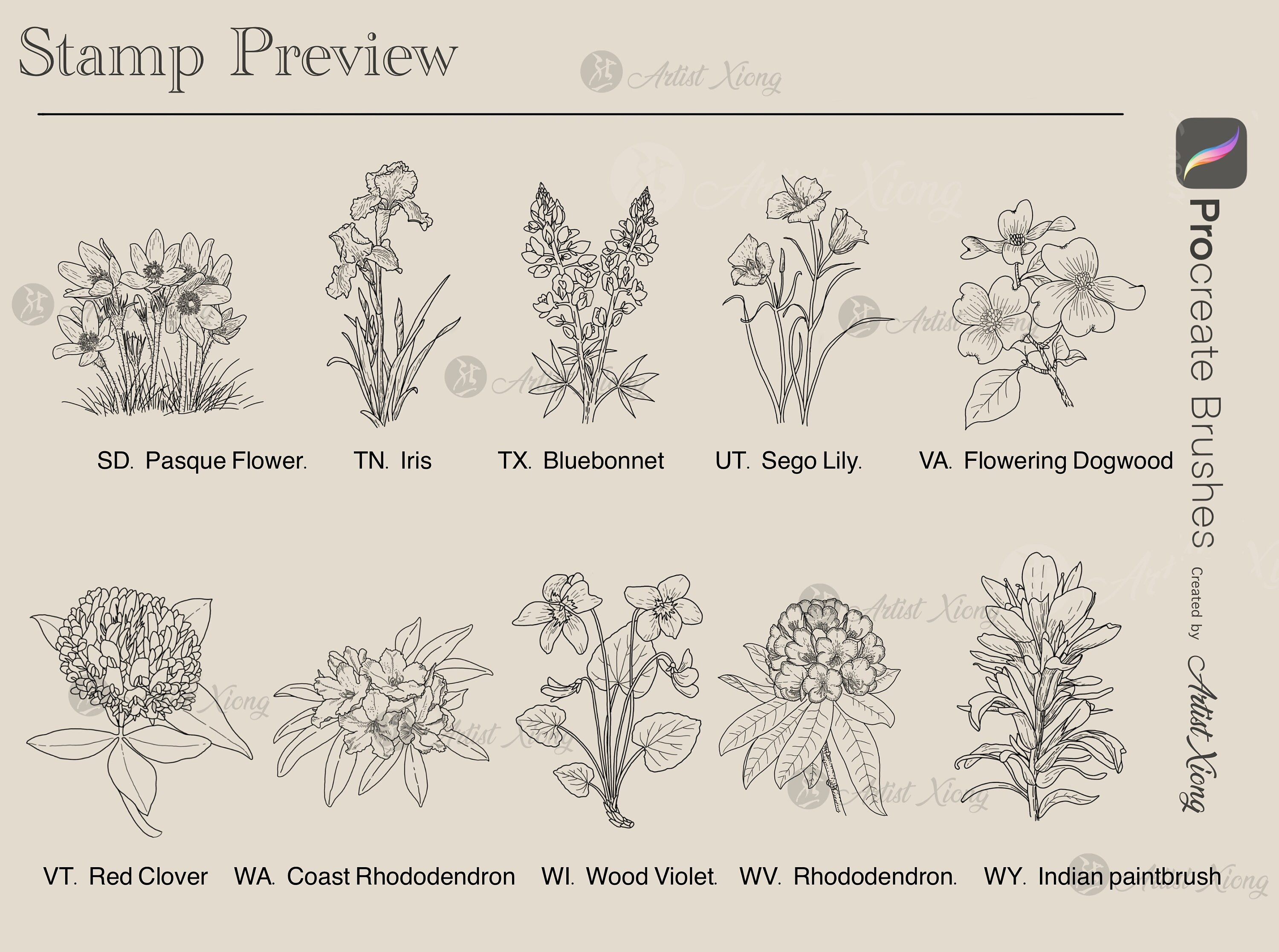 50 USA State Flower Stamp Brushes for Procreate - Etsy