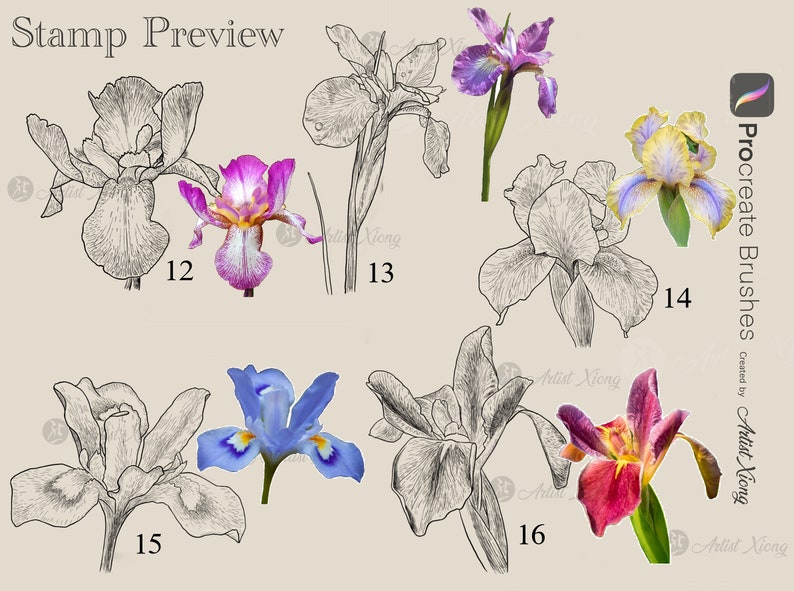 Realistic Iris Stamp Brushes for Procreate - Etsy