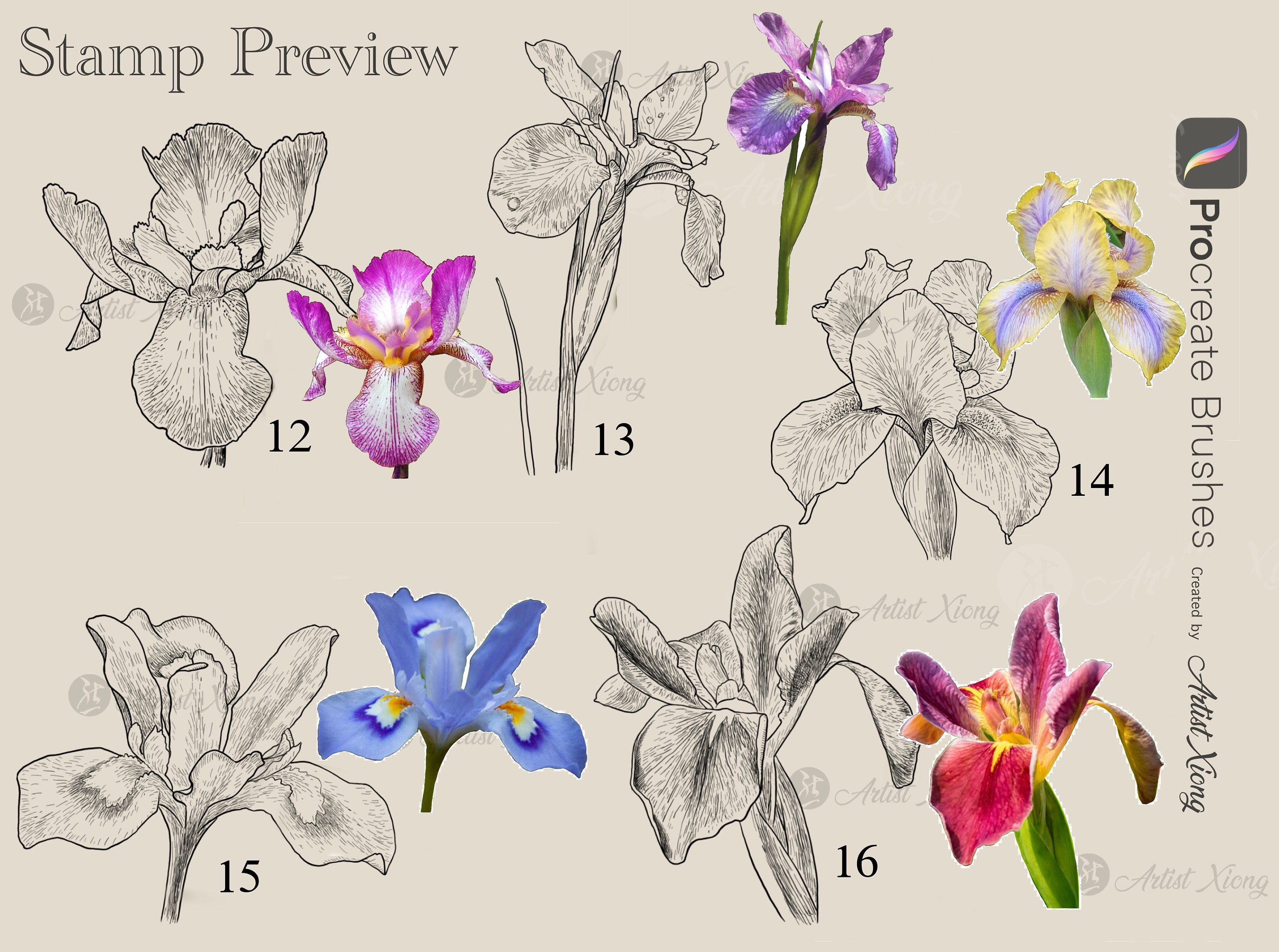 Realistic Iris Stamp Brushes for Procreate - Etsy