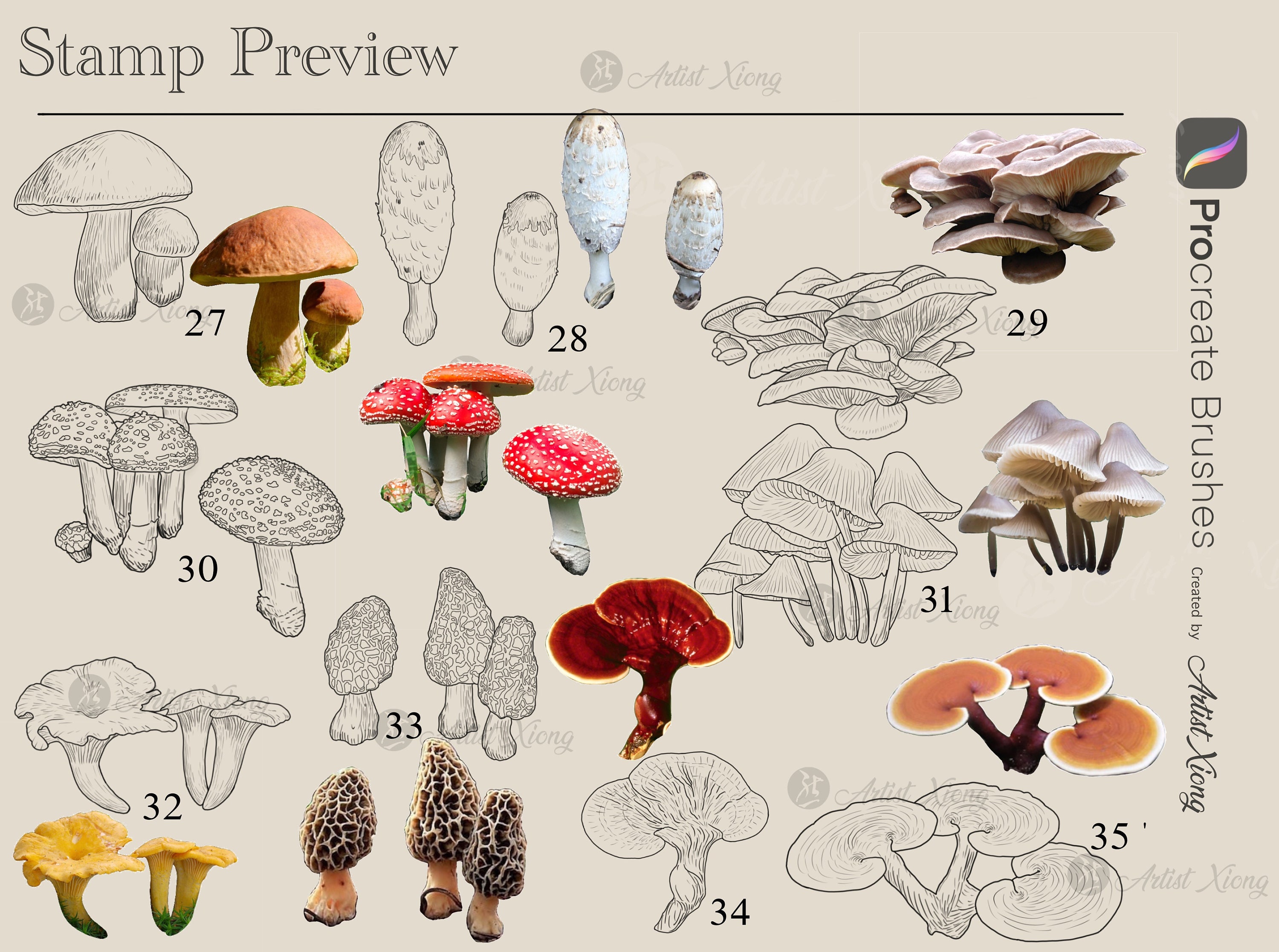 Realistic Mushroom Stamp Brushes for Procreate - Etsy