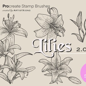 Realistic Lily Flower Stamp Brushes for Procreate - Etsy