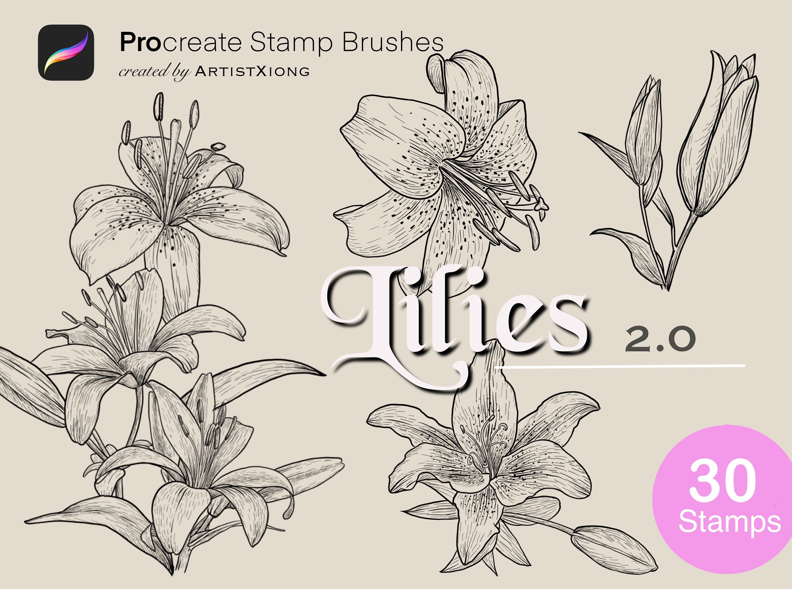 Realistic Lily Flower Stamp Brushes for Procreate - Etsy