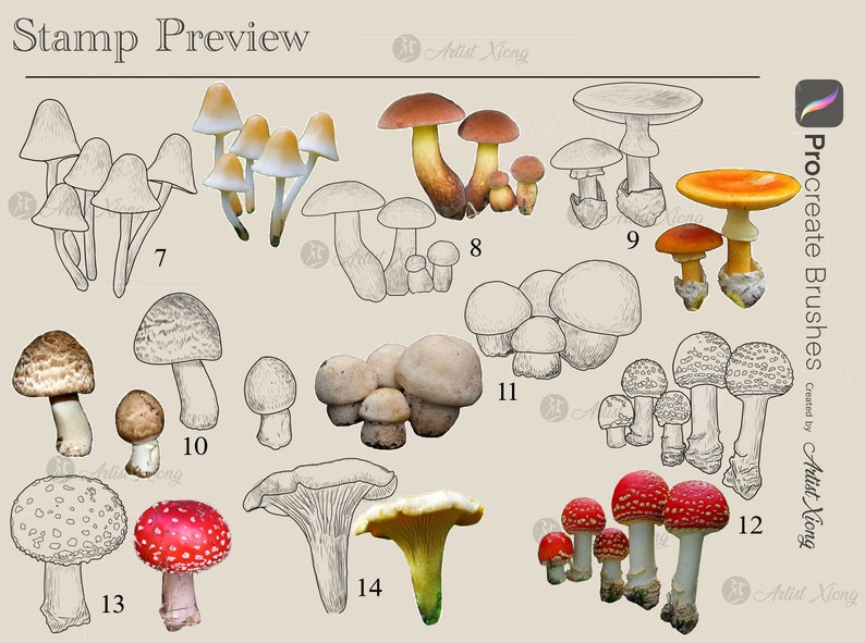 Realistic Mushroom Stamp Brushes for Procreate - Etsy