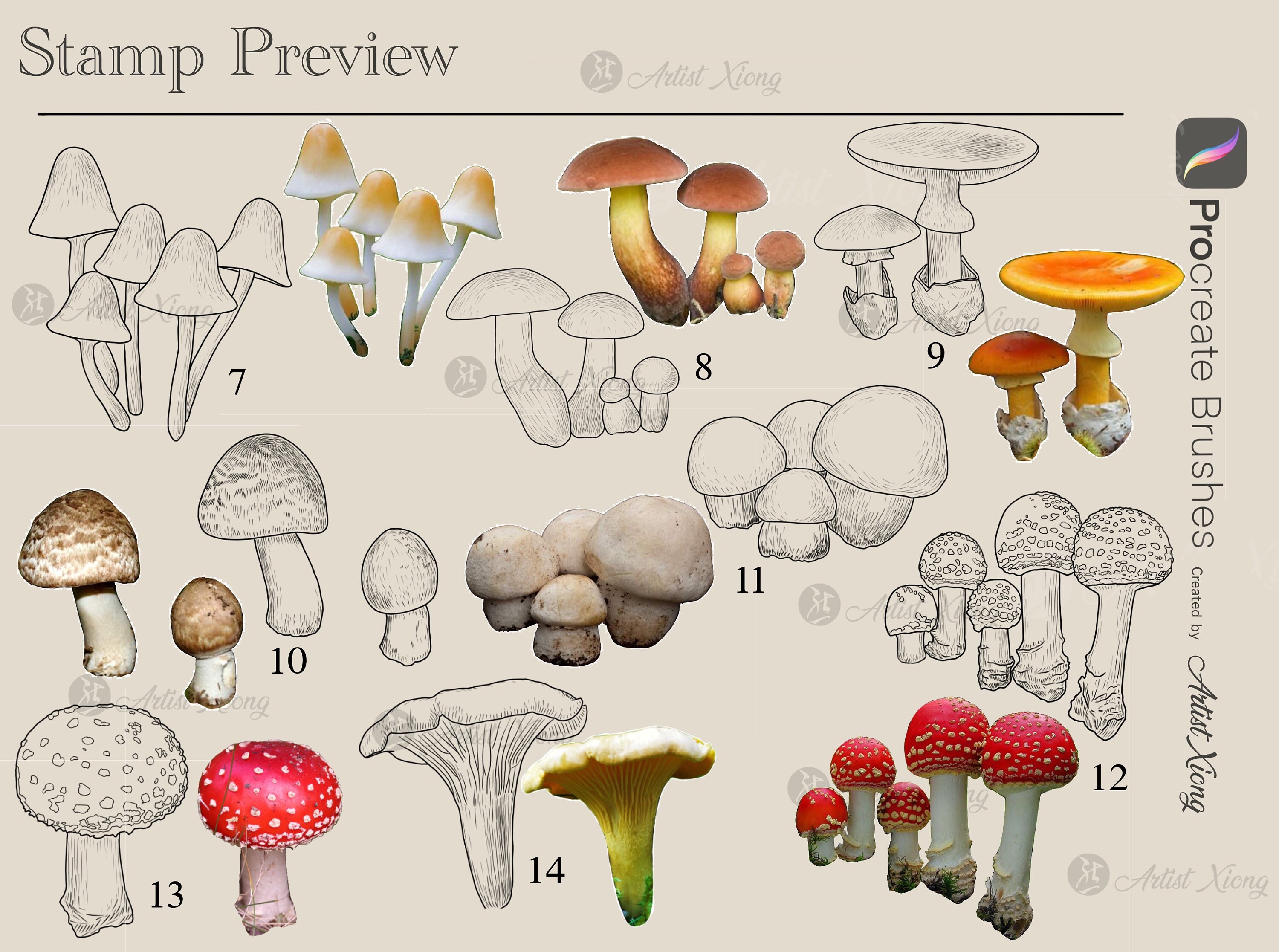 Realistic Mushroom Stamp Brushes for Procreate - Etsy