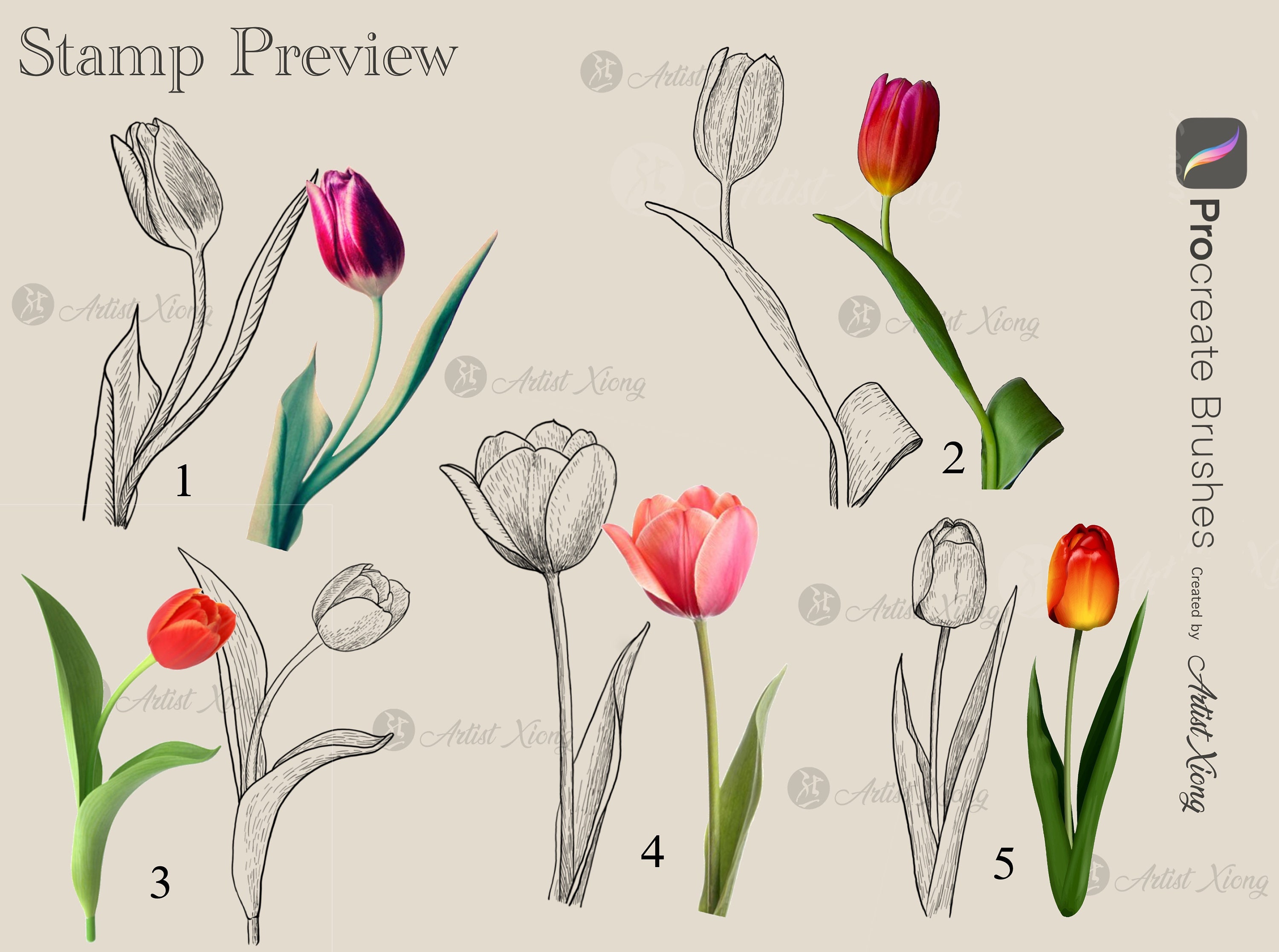 Realistic Tulip Stamp Brushes for Procreate - Etsy