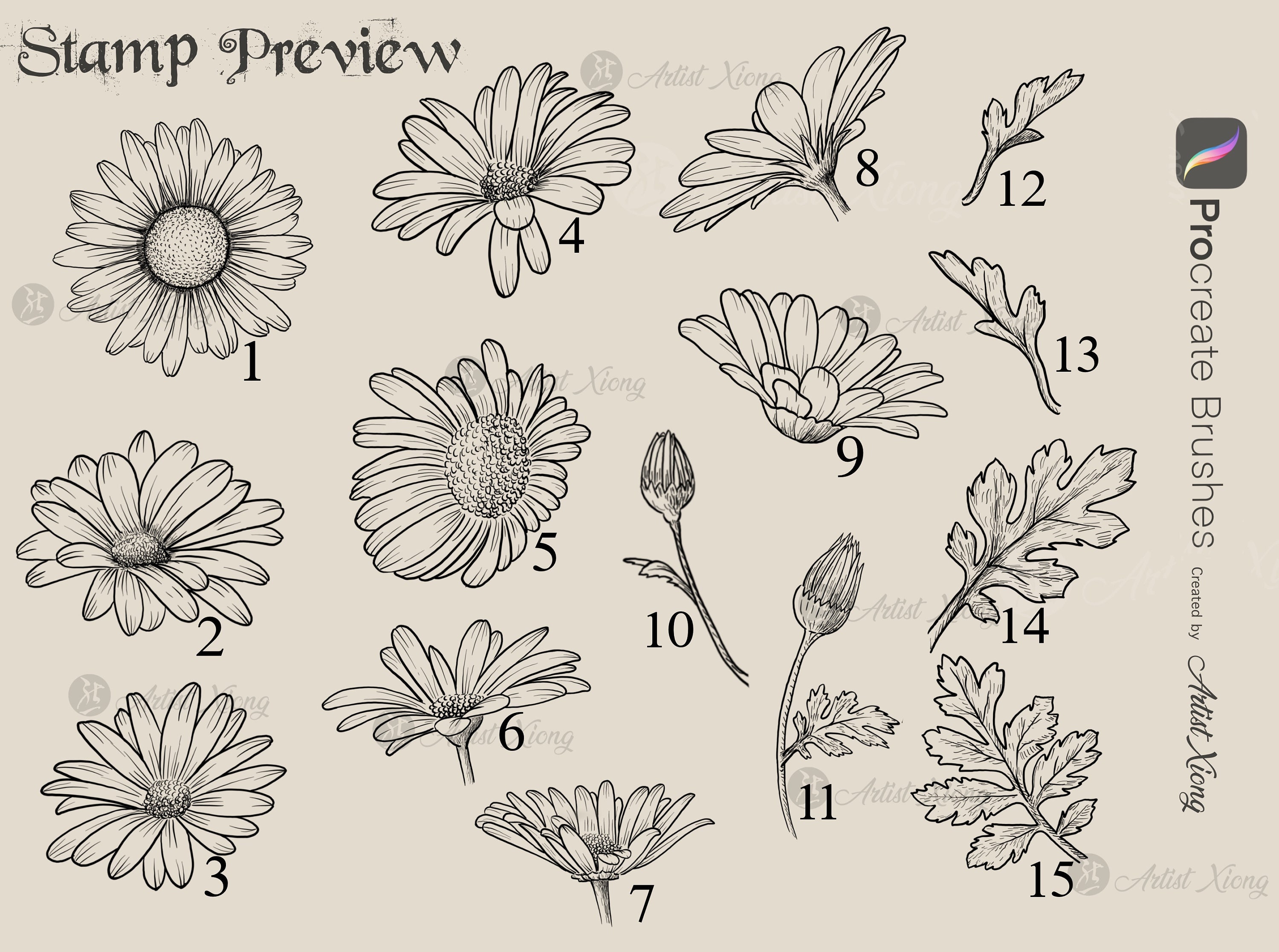 Realistic Daisy Stamp Brushes for Procreate - Etsy