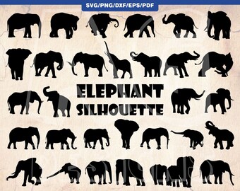 Download Animal Silhouette Pdf African Animals Cricut Cut File Safari Dxf Jungle Bundle Zoo Wild Animal Face Clipart Png Lion Head Silhouette Svg 3 Clip Art Art Collectibles