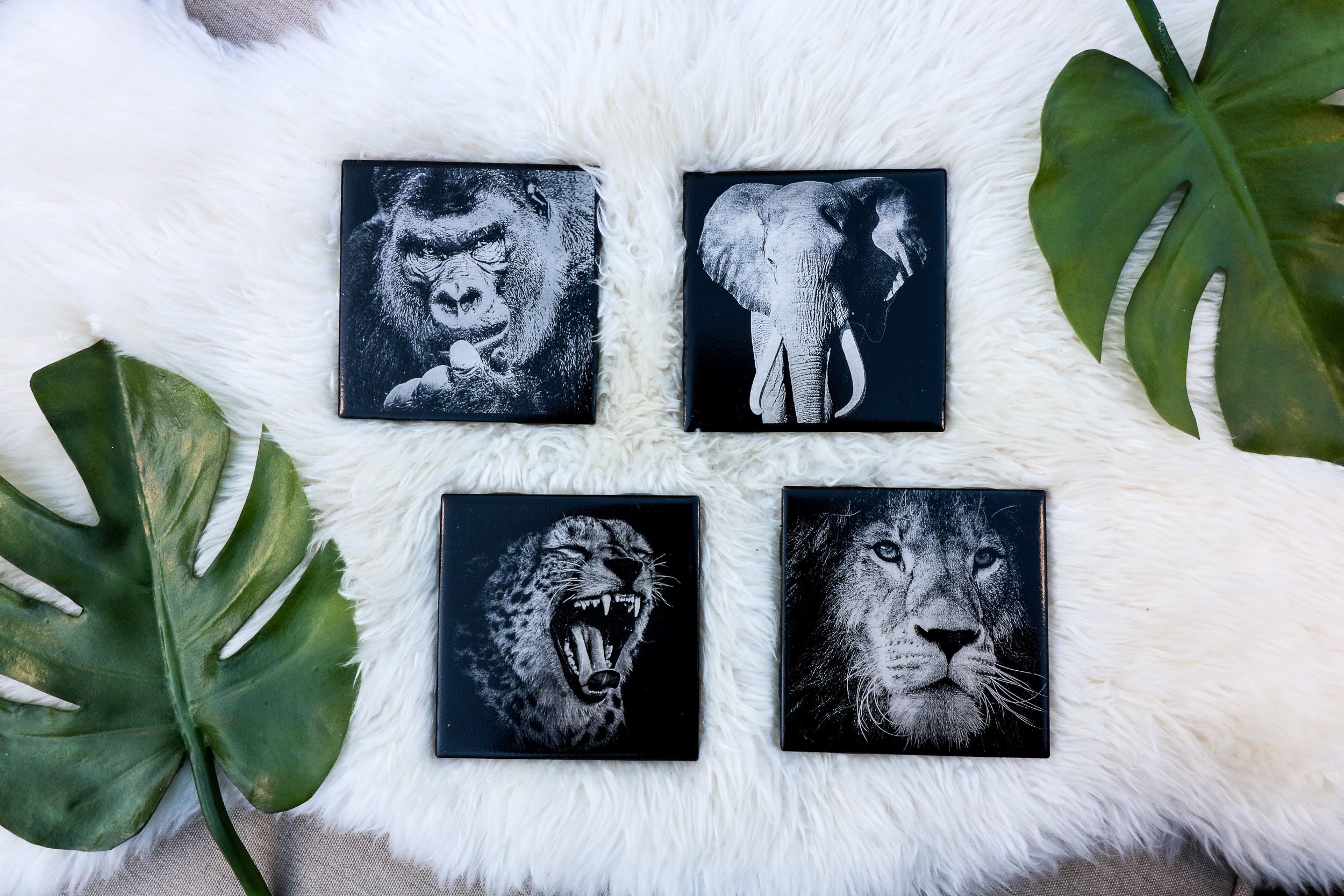 Jungle Animals Set of Coaster Tiles Láser grabado Gorilla Etsy España