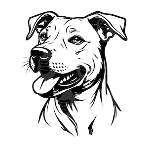 Pitbull Svg, Pitbull Huvud Png, Pitbull Clipart, Pitbull Mamma. Vektor Cut-fil Cricut, Silhuett.