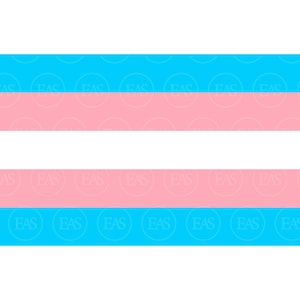 May include: Two horizontal rectangles, one above the other, each featuring a light blue and pink color scheme. The top rectangle has a light blue top and a pink bottom. The bottom rectangle has a pink top and a light blue bottom. The letters "FAS" are repeated.