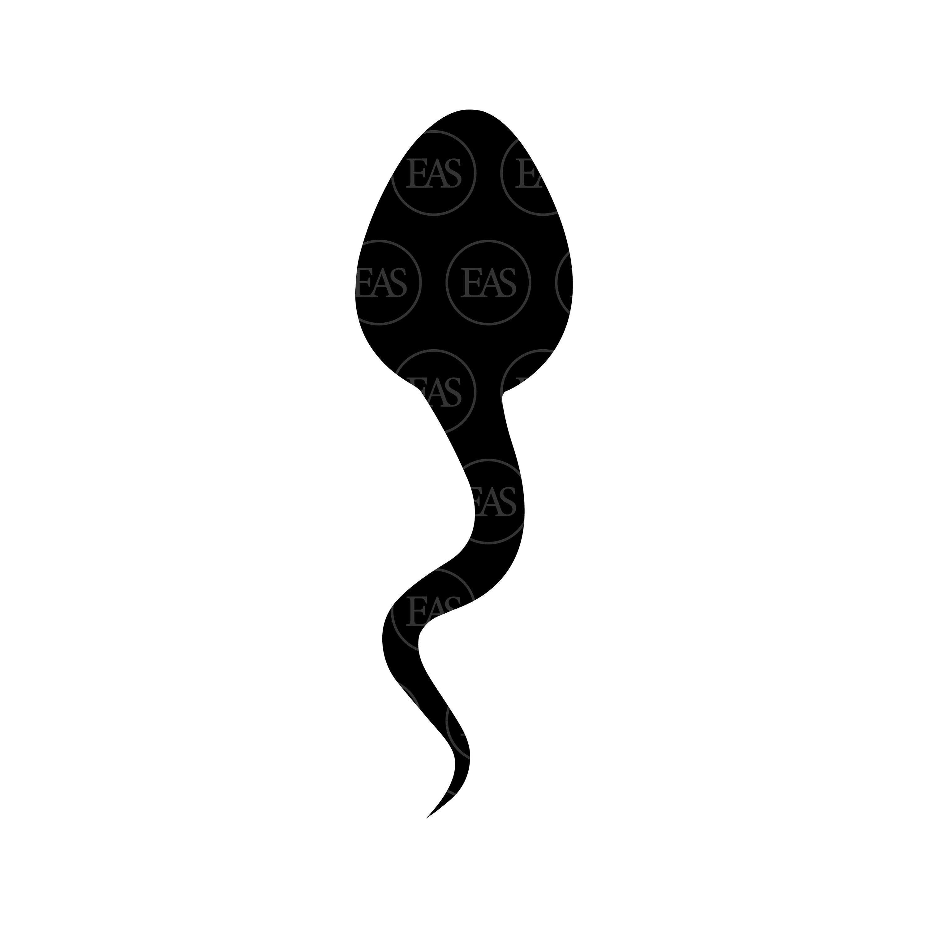 Sperm Svg Vector Cut File for Cricut Silhouette Sticker - Etsy Norway