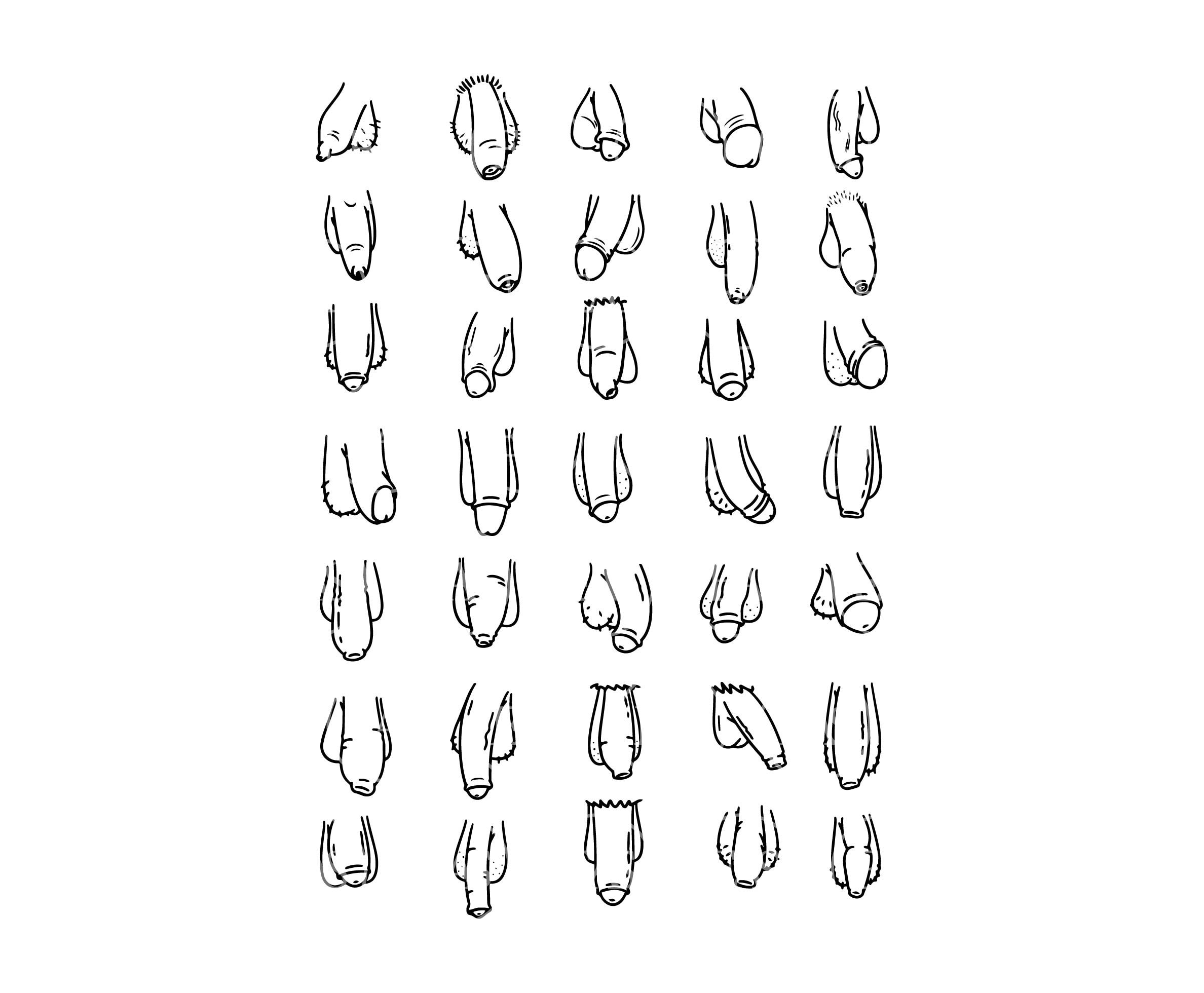 Doodle Penis Svg Bundle Hand Drawn Penis Svg Dicl Cock Etsy Israel
