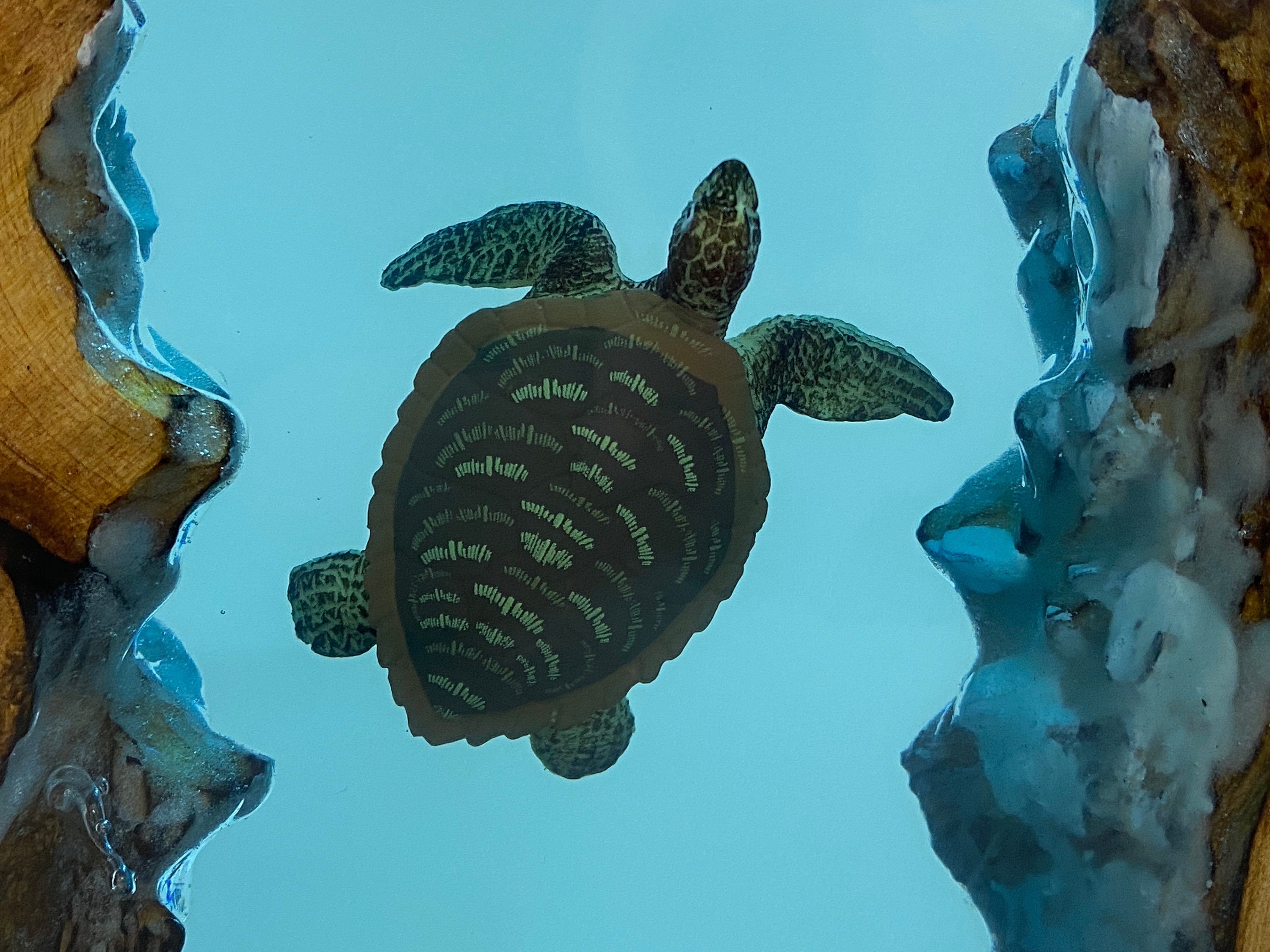 Turtle Shell Light Tortoiseshell Art Light, Marine Atmosphere Resin Lamp, Handmade Gift ...