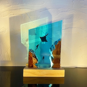 Manta Rays Couple Divers Night light, Gift For Divers, Unique Ocean Ornament, Gift For Kids, Halloween Gift, Christmas Gift