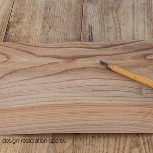 Sheet of veneer for smaller repairs