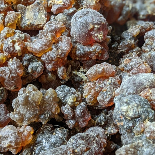Myrrh - Grade A+ Yemen (Commiphora kua from Socotra Island)