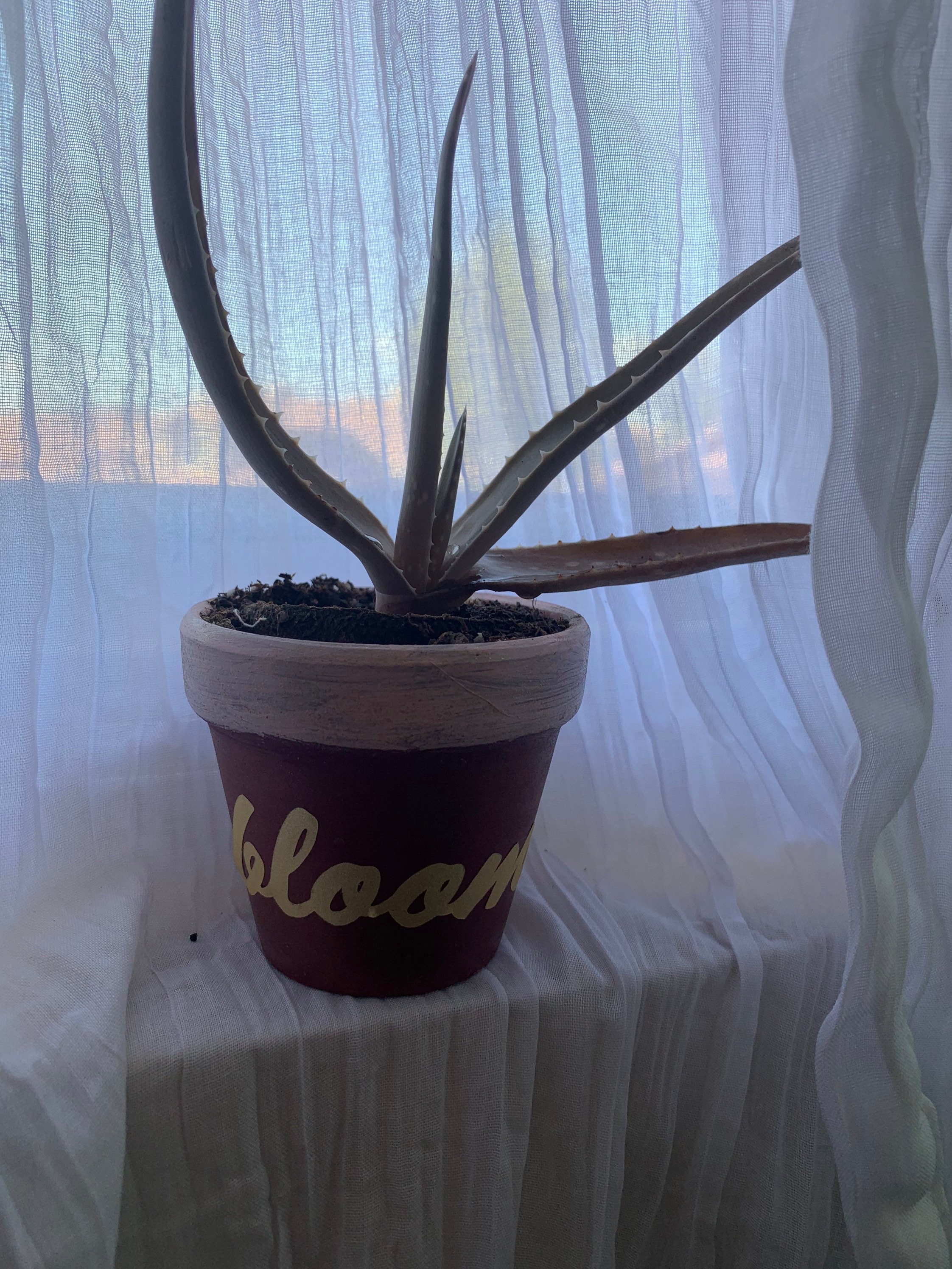 Decoración calcomanía de vinilo Bloom para el jardín de | Etsy