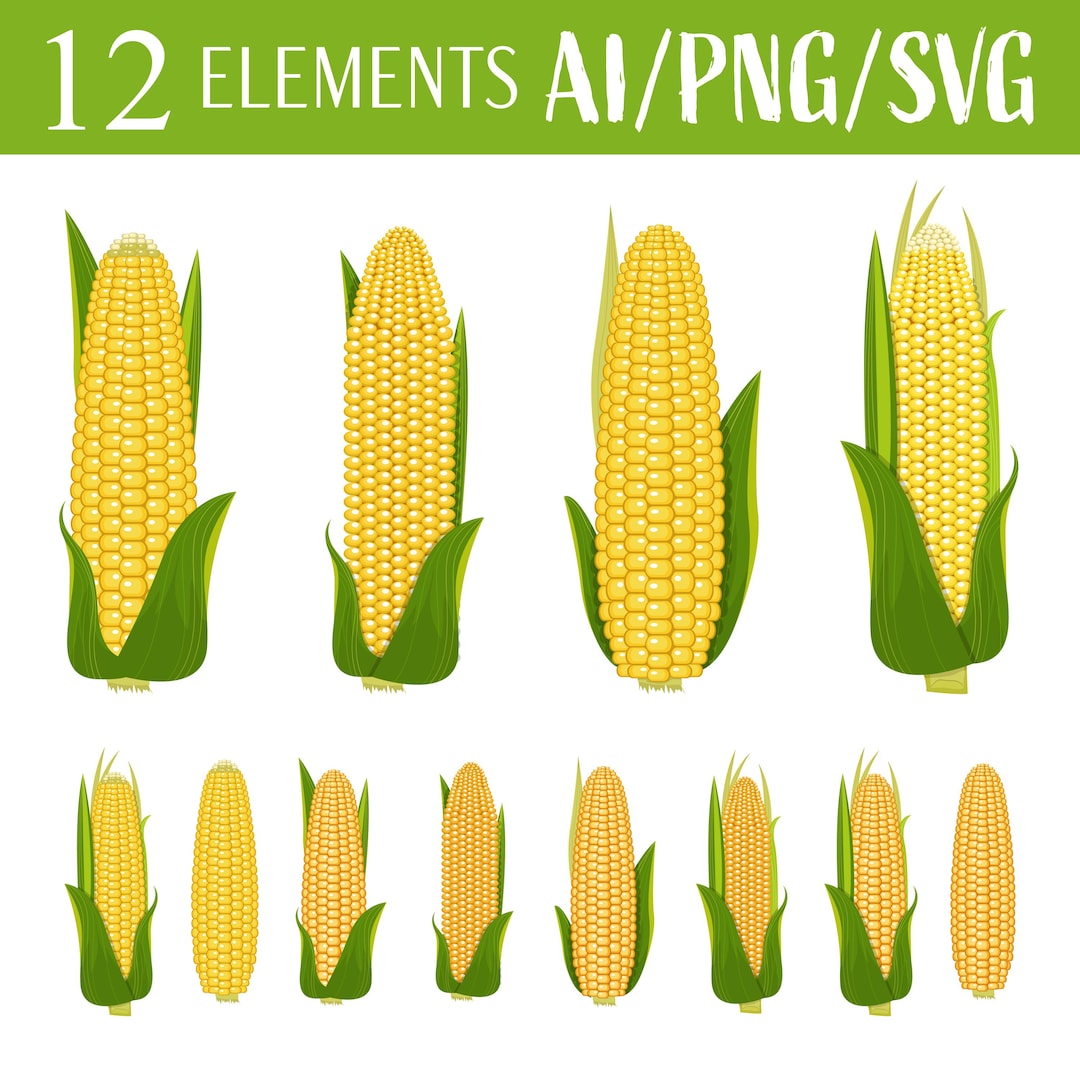 Corn Clipart Vector Art Corn Design Digital Graphics Farming Elements ...
