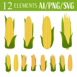 Corn Clipart Vector Art Corn Design Digital Graphics Farming Elements Agriculture Clipart Bundle Harvest Vector Illustration Food Graphics