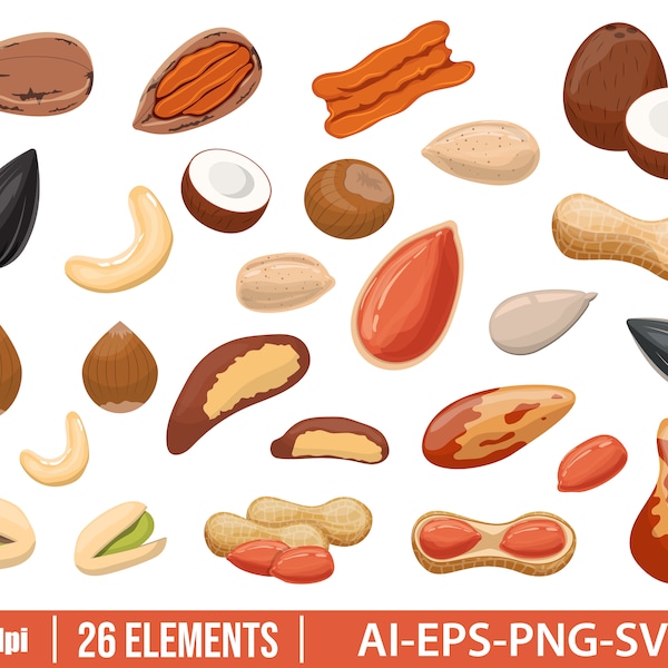 Nuts and peanuts clipart vector desing illustration. Nuts set. Vector Clipart Print