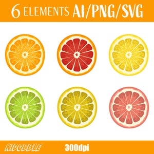 Puede incluir: Seis ilustraciones digitales de rodajas de cítricos. Las rodajas están dispuestas en dos filas de tres. La fila superior presenta una rodaja de naranja amarilla, una rodaja de pomelo roja y una rodaja de limón amarilla. La fila inferior presenta una rodaja de lima verde, una rodaja de limón amarilla y una rodaja de pomelo rosa.