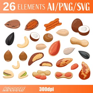 Nuts Clipart Vector, Organic Food Illustrations (PNG, SVG, AI)