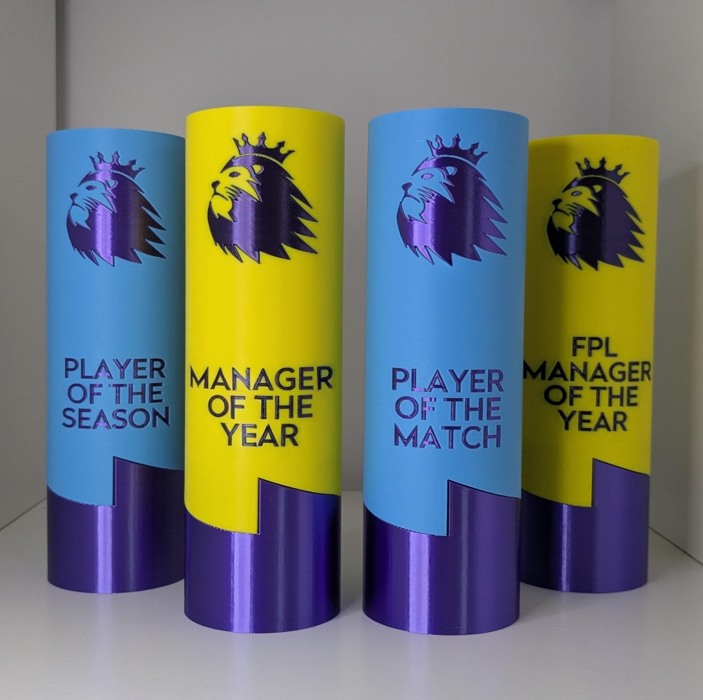 Personalized Fantasy Football Trophy: Custom FPL Champion Award - Etsy