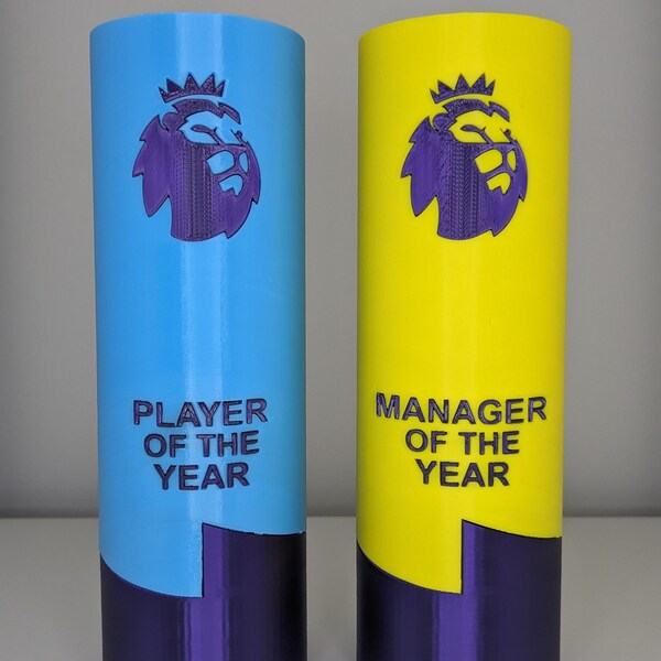 Football Trophy Manager Player of the Month Fantasy Football End of Season Award 3D Printed Football Soccer