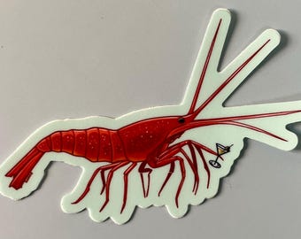 Shrimp cocktail sticker