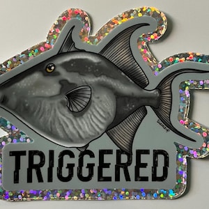May include: A sticker featuring a detailed illustration of a gray fish with black fins and a yellow eye. The sticker has a glittery border and the word "TRIGGERED" in black block letters.
