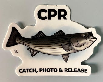 Striped bass CPR