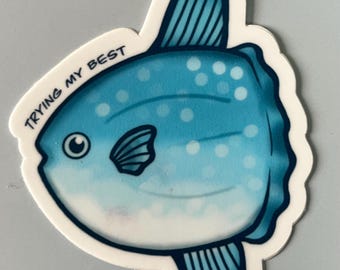 Mola Mola