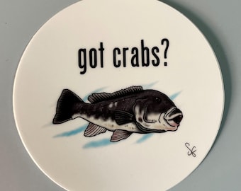 Tautog sticker