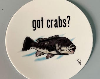 Tautog magnet
